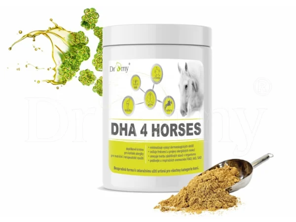 DHA 4 HORSES