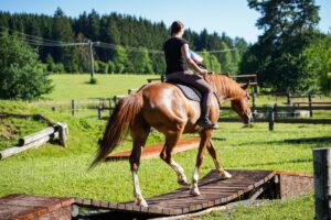Přečtete si více ze článku Extreme trail – soutěž, ale také životní styl