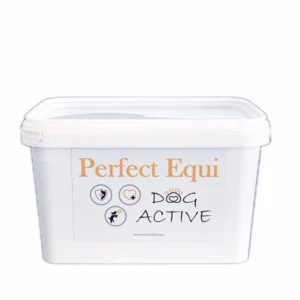 Perfect Equi DOG ACTIVE, 500g
