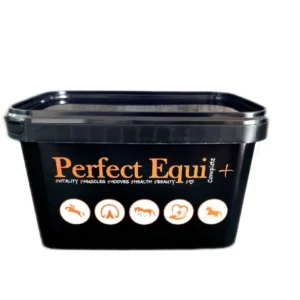 Perfect Equi COMPLETE+