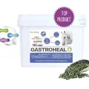 GastroHeal CONCENTRATE, Dromy