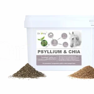 Psyllium + Chia 3 kg