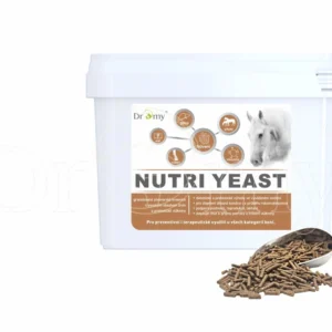 Nutri Yeast 6 kg, Dromy